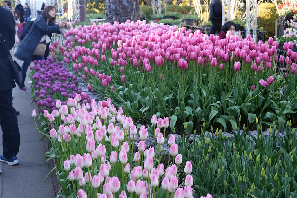 f:id:Lothar:20250112120112j:image