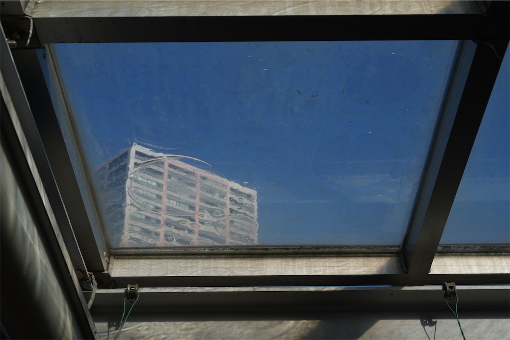 f:id:Lothar:20250126191102j:image