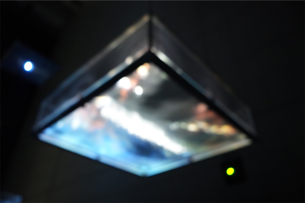 f:id:Lothar:20250308220758j:image