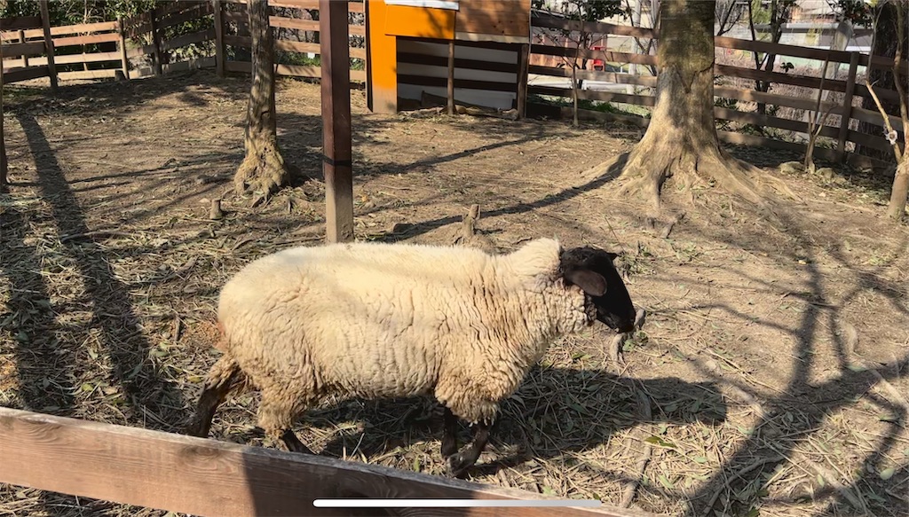 f:id:Lothar:20250329170728j:image