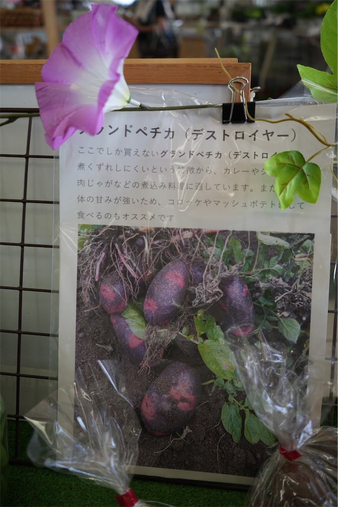 f:id:Lothar:20250725233245j:image