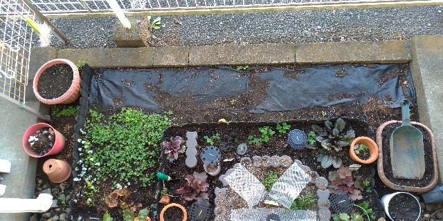 f:id:Lotus12:20191201151604j:image f:id:Lotus12:20191201151604j:image