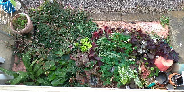 f:id:Lotus12:20201101141414j:image f:id:Lotus12:20201101141414j:image