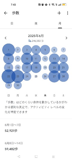f:id:Lotus20079:20250711105846j:image f:id:Lotus20079:20250711105846j:image