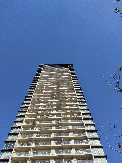 f:id:Lotus20079:20251115084129j:image f:id:Lotus20079:20251115084129j:image