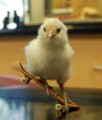 20100401155407