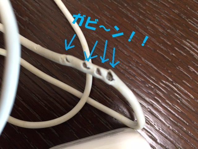 f:id:LoveRussianBlue:20171120014112j:plain