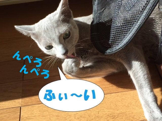 f:id:LoveRussianBlue:20171213230840j:plain