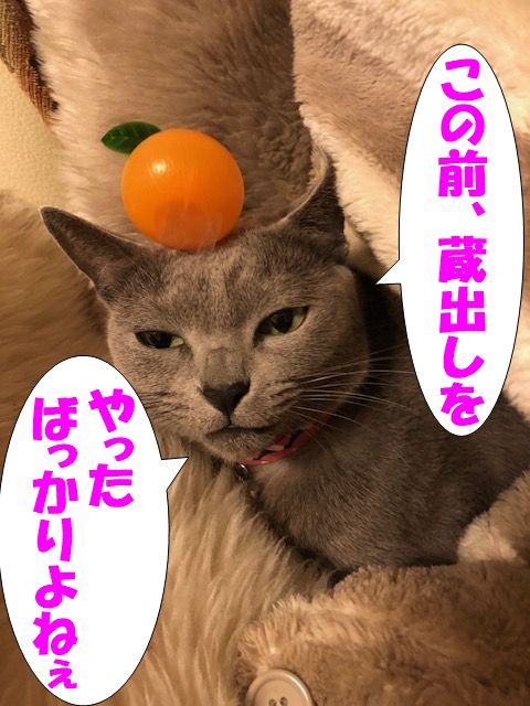 f:id:LoveRussianBlue:20180113003823j:plain