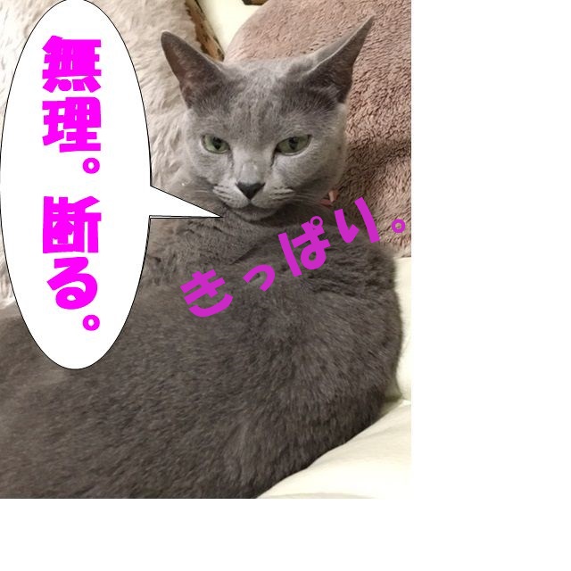 f:id:LoveRussianBlue:20180117020435j:plain
