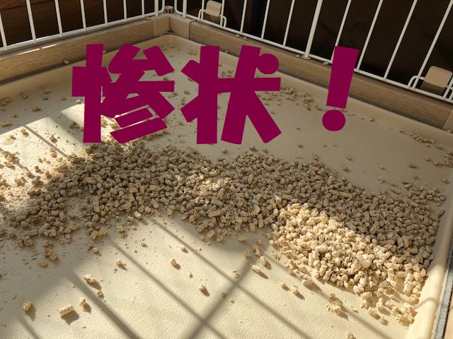 f:id:LoveRussianBlue:20180128210242j:plain f:id:LoveRussianBlue:20180128210242j:plain