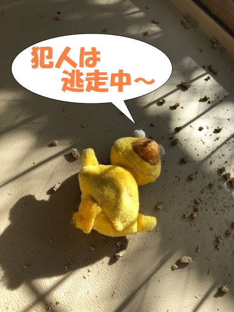 f:id:LoveRussianBlue:20180128210422j:plain f:id:LoveRussianBlue:20180128210422j:plain