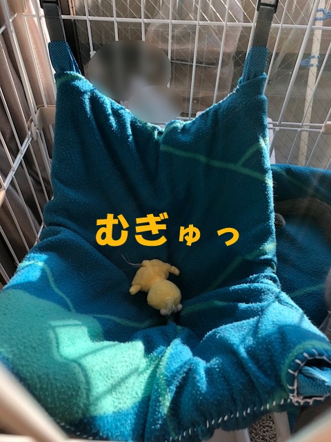 f:id:LoveRussianBlue:20180206173550j:plain