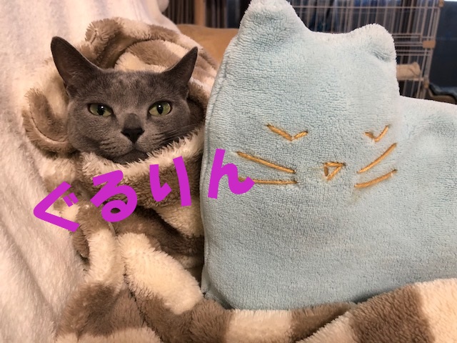 f:id:LoveRussianBlue:20180206174734j:plain