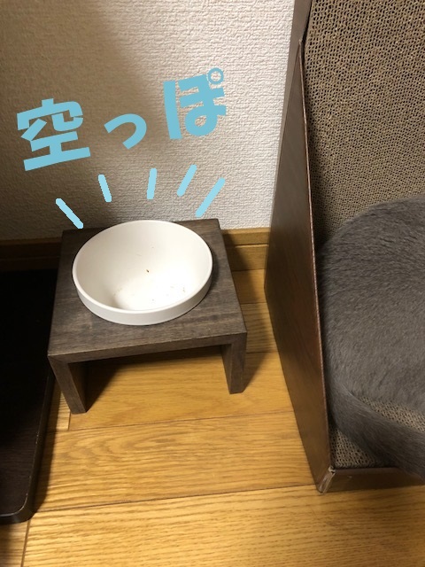 f:id:LoveRussianBlue:20180803170445j:plain f:id:LoveRussianBlue:20180803170445j:plain