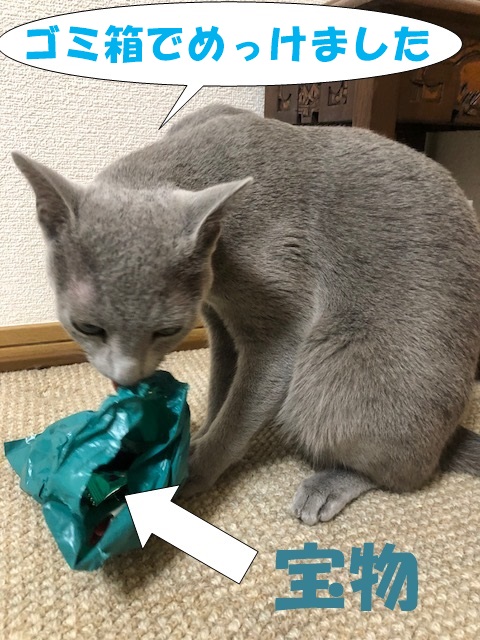 f:id:LoveRussianBlue:20180917202804j:plain