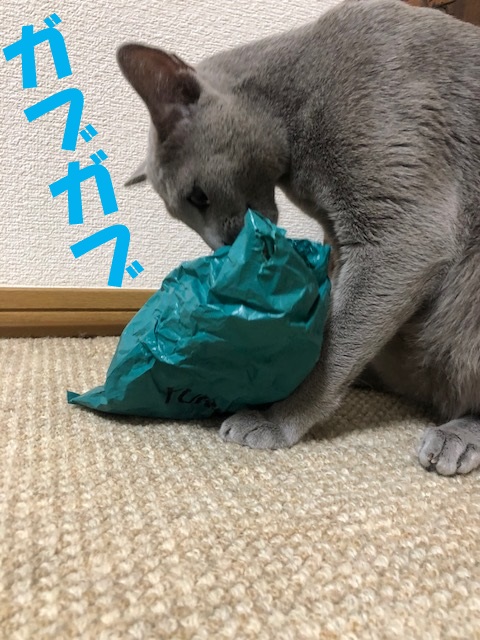 f:id:LoveRussianBlue:20180917203220j:plain
