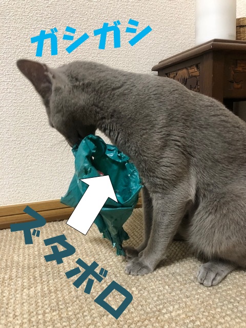 f:id:LoveRussianBlue:20180917203332j:plain