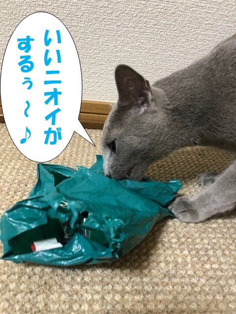 f:id:LoveRussianBlue:20180917203413j:plain