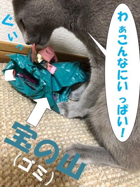 f:id:LoveRussianBlue:20180917203451j:plain