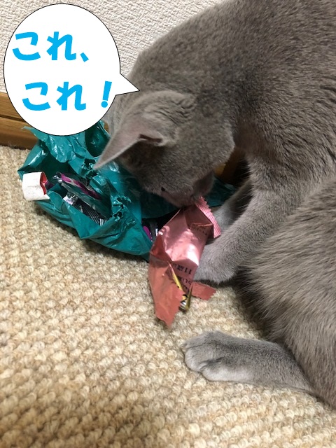 f:id:LoveRussianBlue:20180917203627j:plain