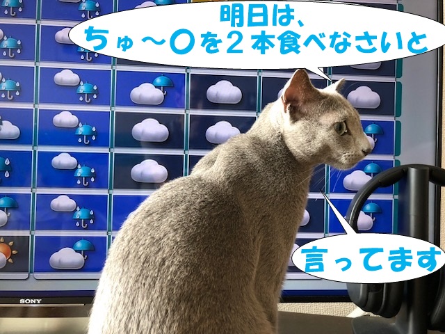 f:id:LoveRussianBlue:20180917215346j:plain