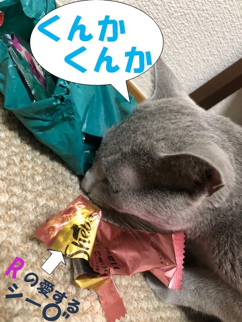 f:id:LoveRussianBlue:20180919143853j:plain