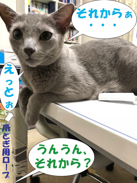 f:id:LoveRussianBlue:20180925164303j:plain