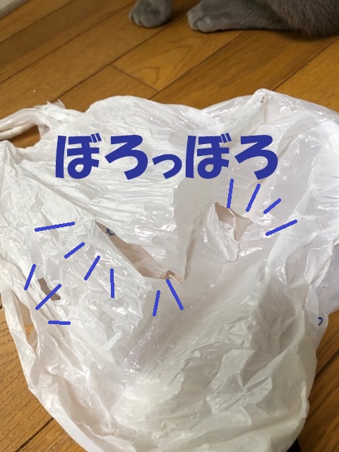 f:id:LoveRussianBlue:20181207165113j:plain