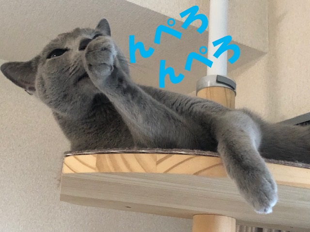 f:id:LoveRussianBlue:20181207172408j:plain