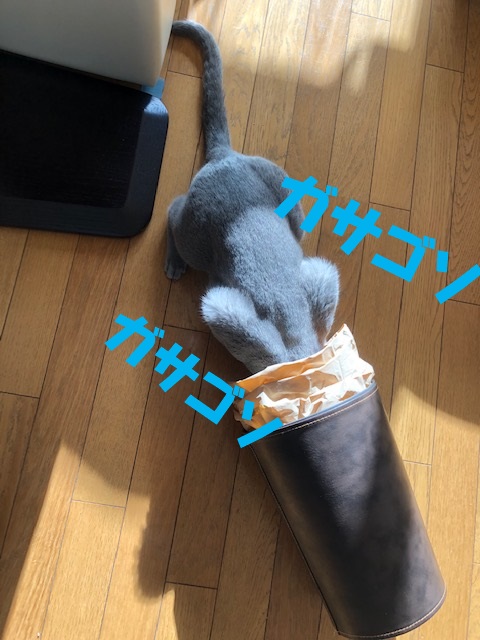 f:id:LoveRussianBlue:20181207232710j:plain