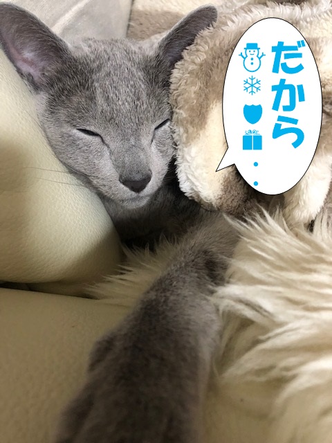 f:id:LoveRussianBlue:20181212173516j:plain