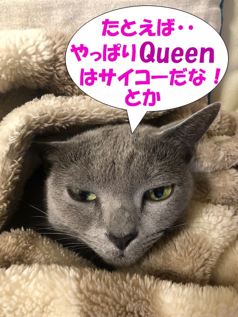 f:id:LoveRussianBlue:20181213000113j:plain