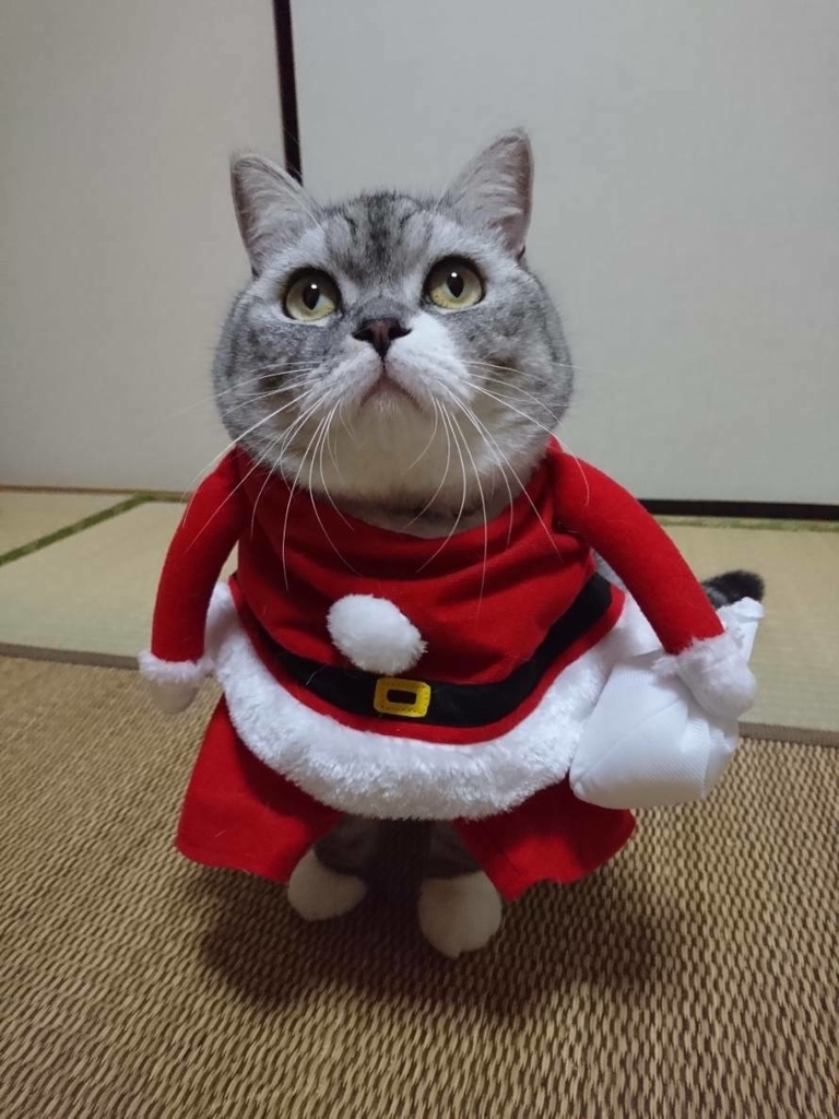 f:id:LoveRussianBlue:20181225002854j:plain
