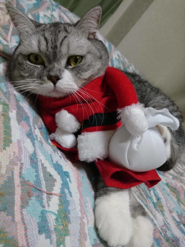 f:id:LoveRussianBlue:20181225003005j:plain