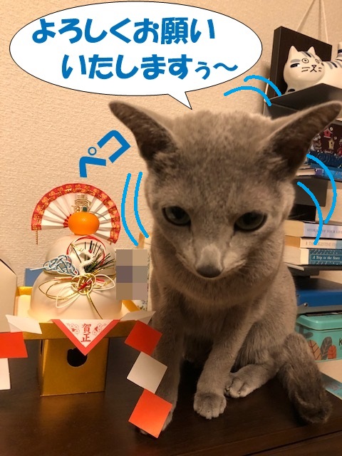 f:id:LoveRussianBlue:20181231230238j:plain