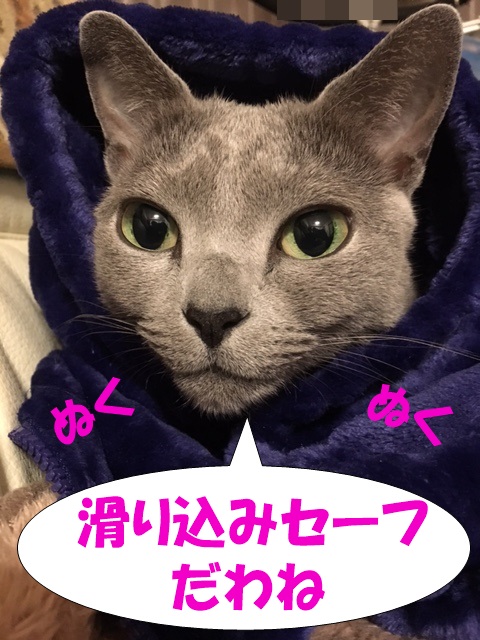f:id:LoveRussianBlue:20181231231857j:plain