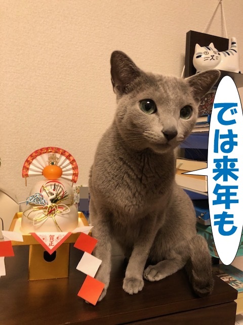 f:id:LoveRussianBlue:20190104112643j:plain