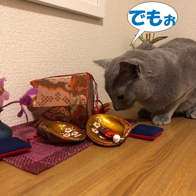 f:id:LoveRussianBlue:20190219231624j:plain