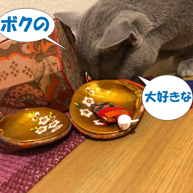 f:id:LoveRussianBlue:20190219232009j:plain