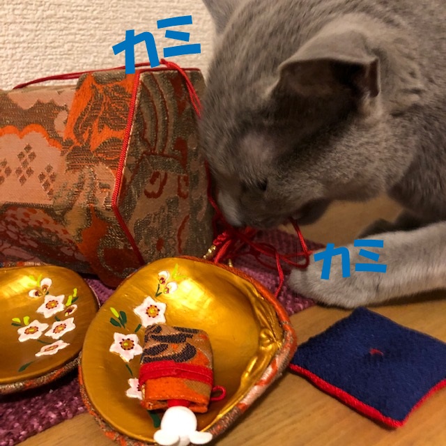 f:id:LoveRussianBlue:20190219232040j:plain