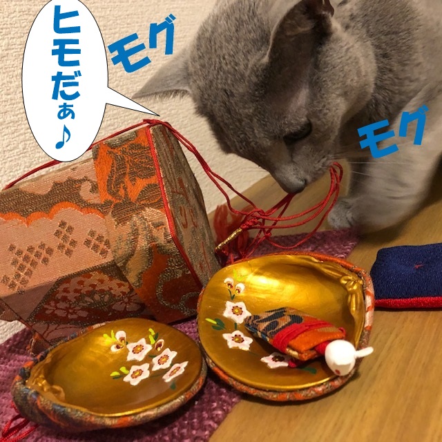 f:id:LoveRussianBlue:20190220021728j:plain