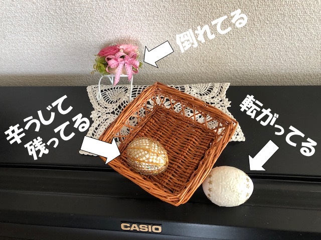 f:id:LoveRussianBlue:20190410214545j:plain