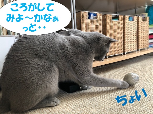 f:id:LoveRussianBlue:20190410221011j:plain