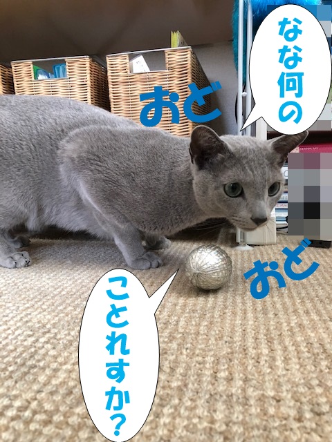 f:id:LoveRussianBlue:20190410221940j:plain