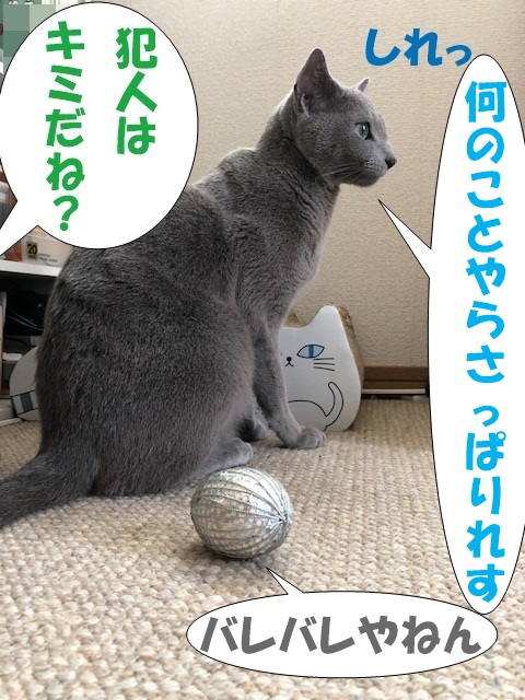 f:id:LoveRussianBlue:20190410224044j:plain