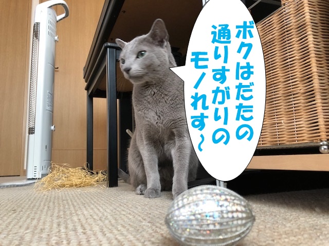 f:id:LoveRussianBlue:20190411113139j:plain