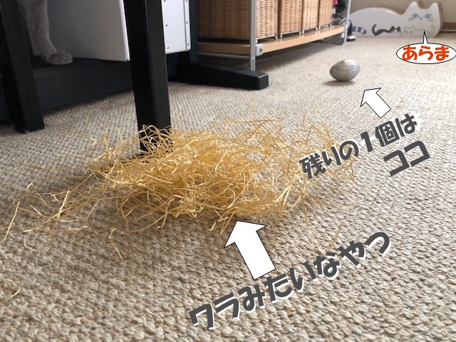 f:id:LoveRussianBlue:20190411134111j:plain