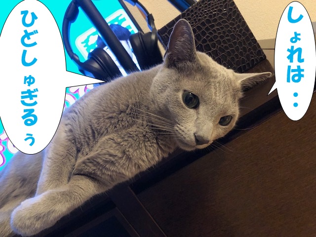 f:id:LoveRussianBlue:20190521155104j:plain