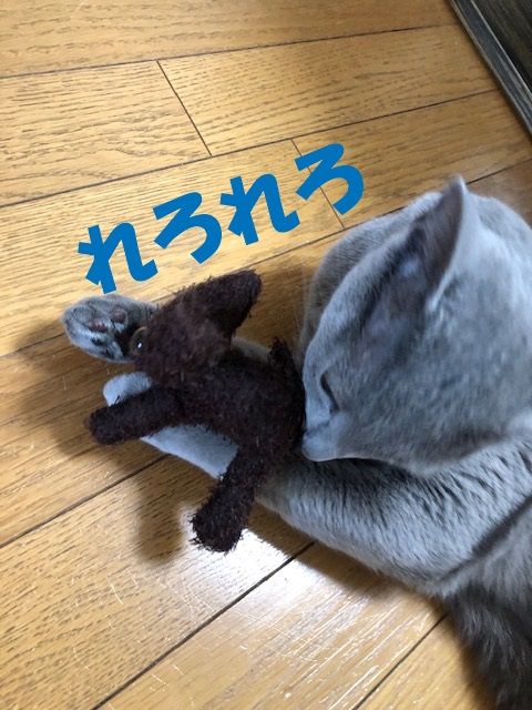 f:id:LoveRussianBlue:20190521213120j:plain